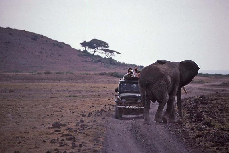 WT 1400 209-35 Kenya.jpg